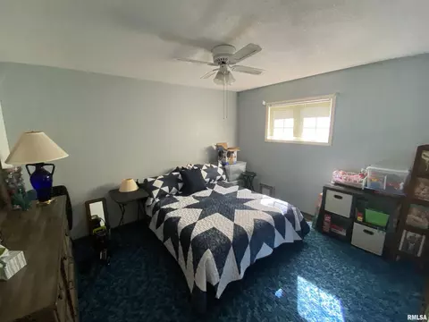 909 E Clark Trl, Herrin, IL 62948 photo 20