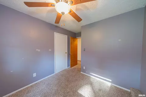 12 Roseclair Ln, Centralia, IL 62801 photo 33