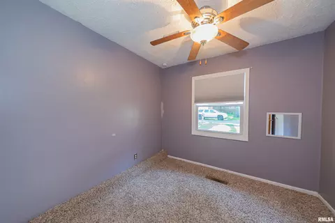 12 Roseclair Ln, Centralia, IL 62801 photo 32