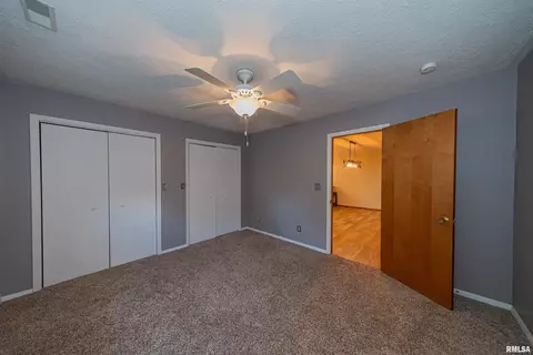 12 Roseclair Ln, Centralia, IL 62801 photo 28