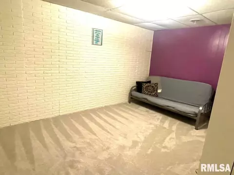 1371 Schwartz Rd, Centralia, IL 62801 photo 37