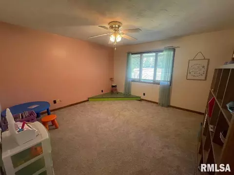 1371 Schwartz Rd, Centralia, IL 62801 photo 30