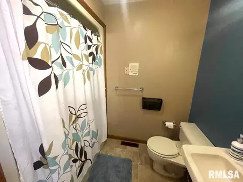1371 Schwartz Rd, Centralia, IL 62801 photo 39