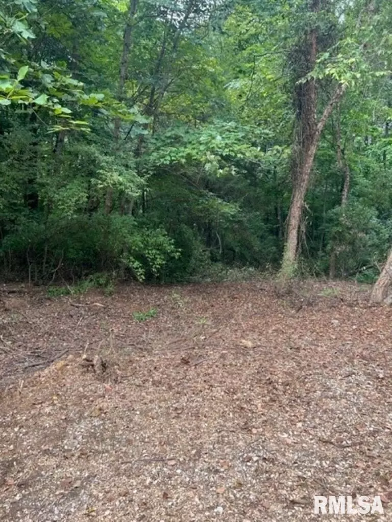  0000 E Lake Estates Rd, Mount Vernon, IL 62864 photo 23