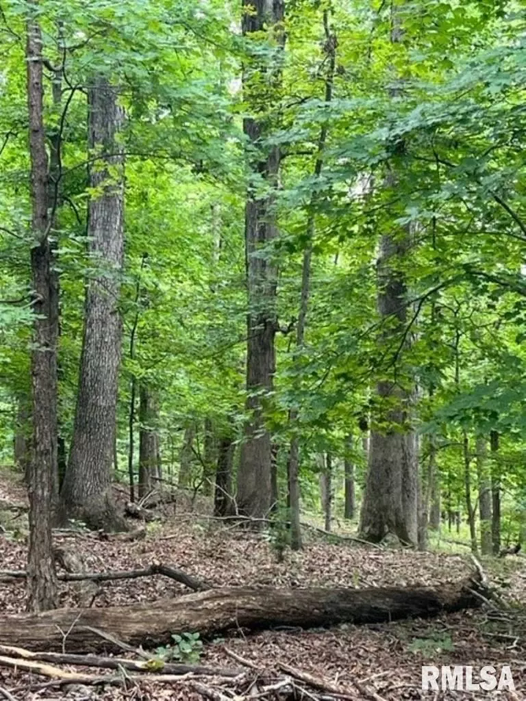  0000 E Lake Estates Rd, Mount Vernon, IL 62864 photo 19