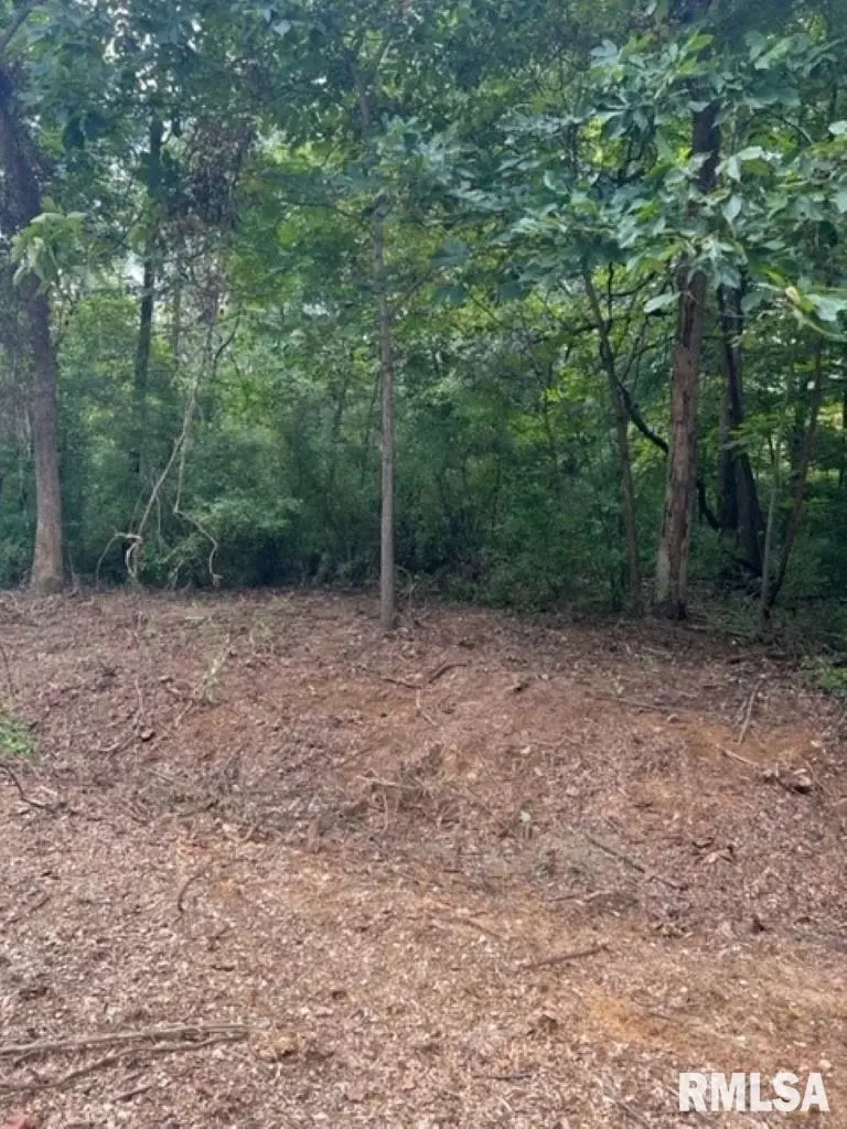  0000 E Lake Estates Rd, Mount Vernon, IL 62864 photo 24