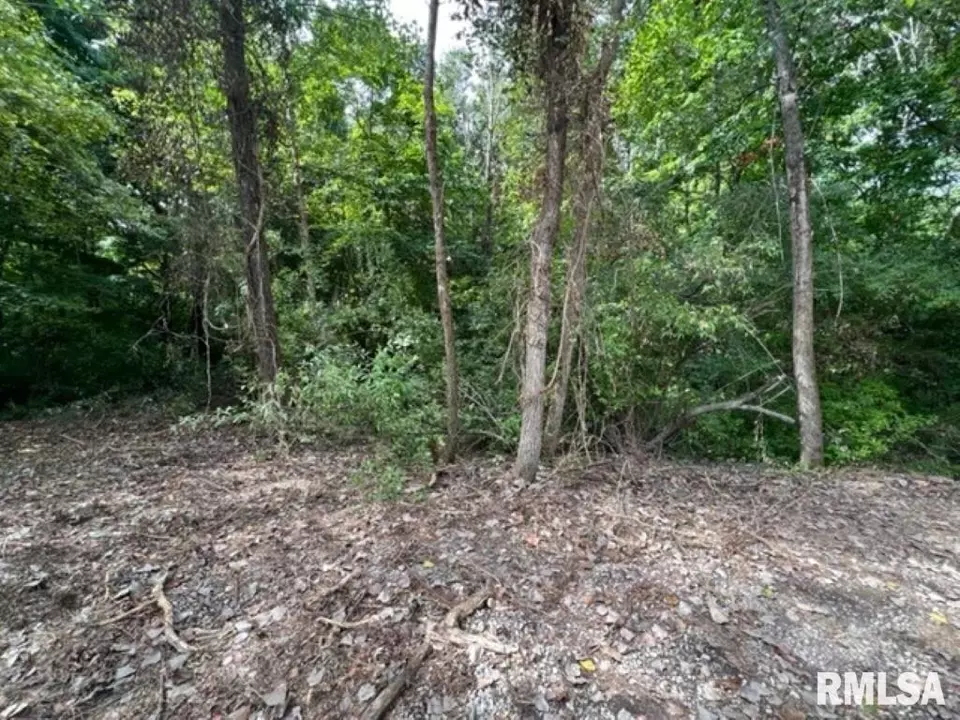  0000 E Lake Estates Rd, Mount Vernon, IL 62864 photo 15