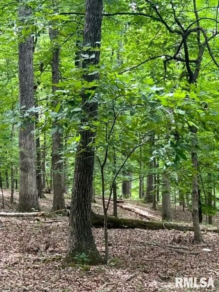  0000 E Lake Estates Rd, Mount Vernon, IL 62864 photo 20