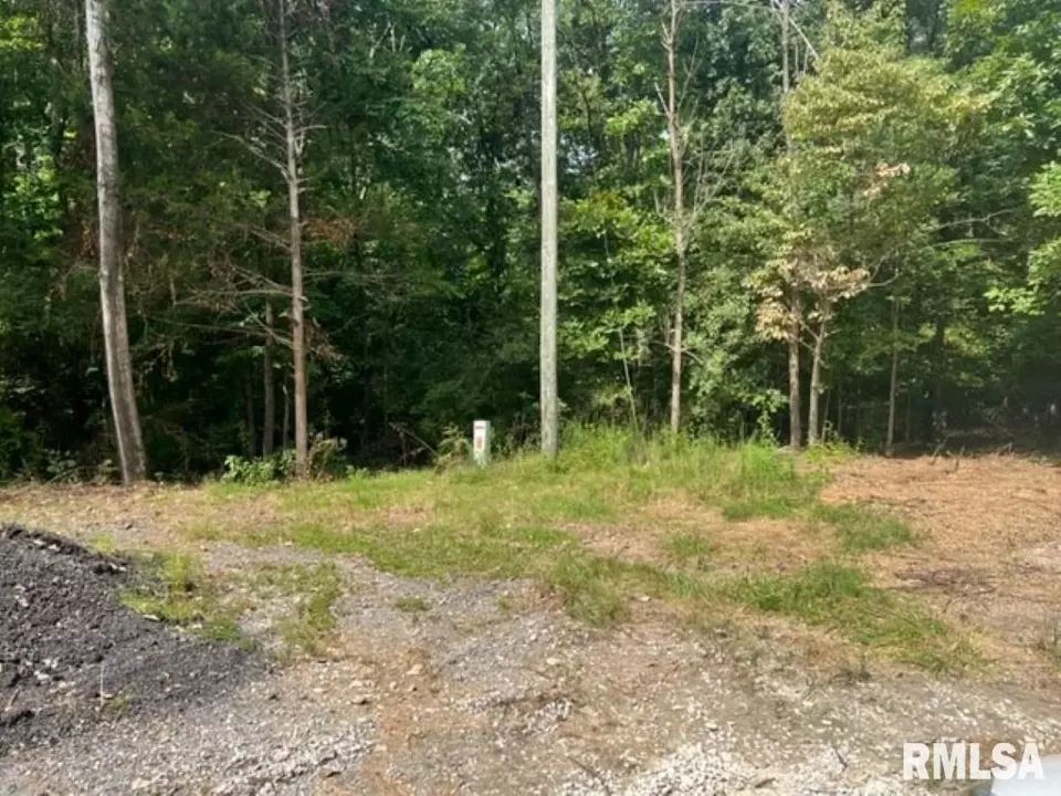  0000 E Lake Estates Rd, Mount Vernon, IL 62864 photo 10