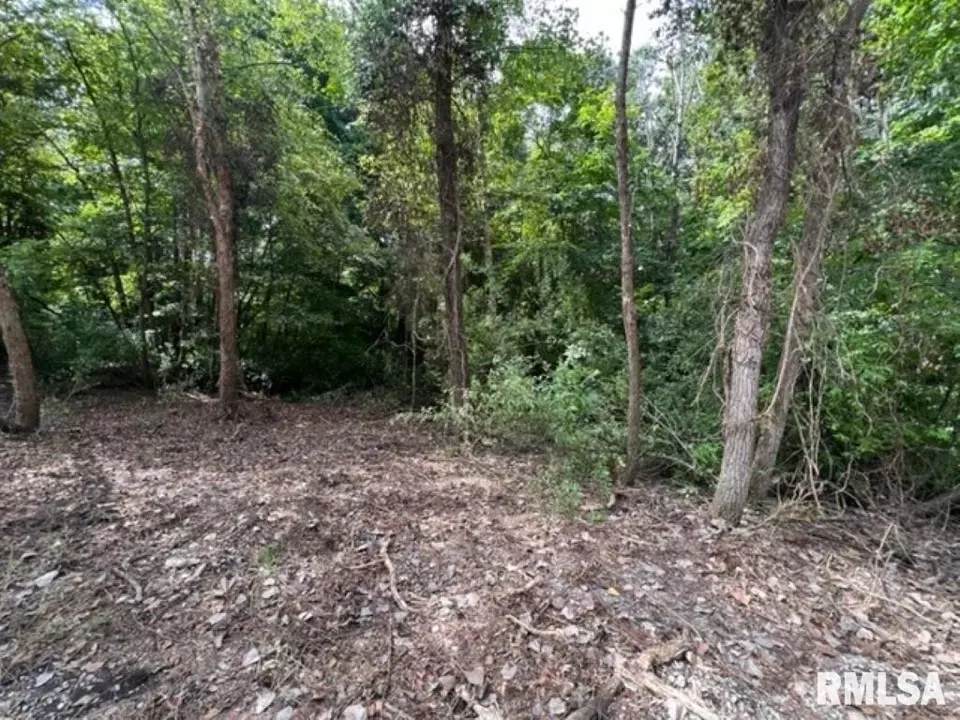  0000 E Lake Estates Rd, Mount Vernon, IL 62864 photo 16