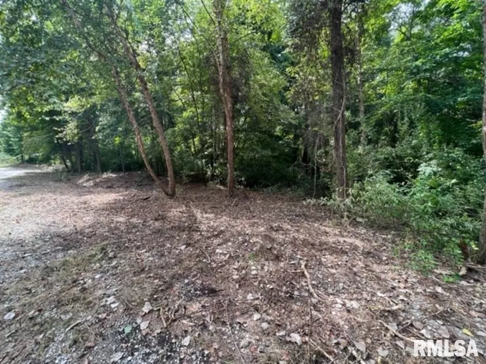  0000 E Lake Estates Rd, Mount Vernon, IL 62864 photo 17