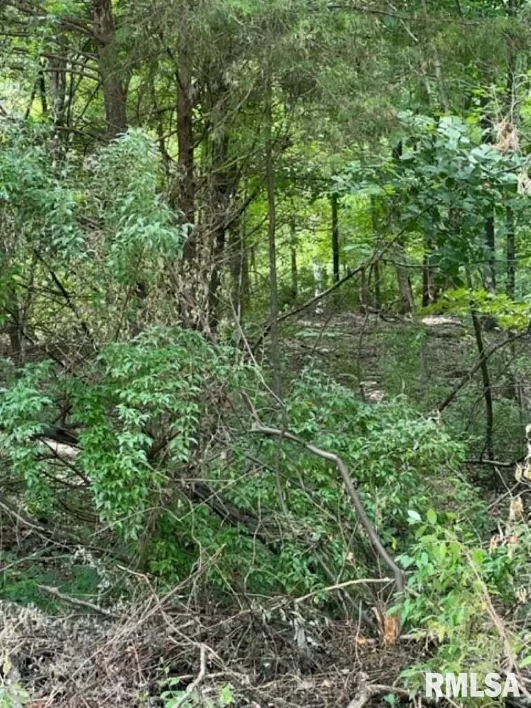  0000 E Lake Estates Rd, Mount Vernon, IL 62864 photo 18