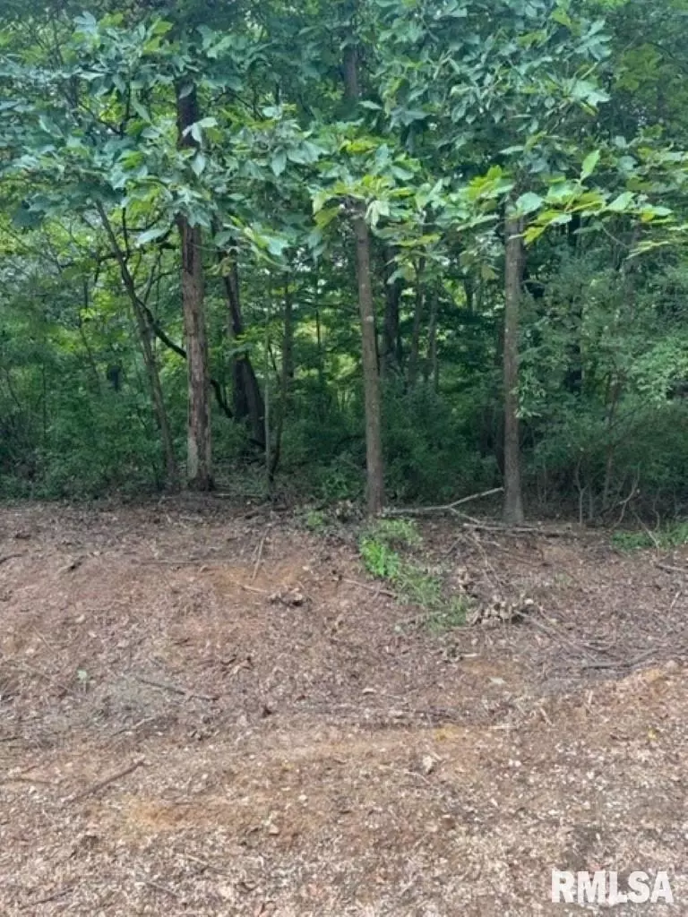  0000 E Lake Estates Rd, Mount Vernon, IL 62864 photo 22