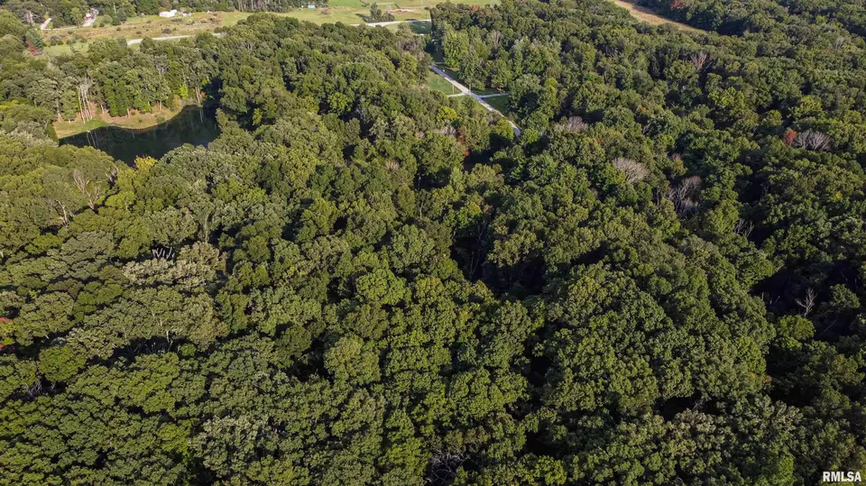  0000 E Lake Estates Rd, Mount Vernon, IL 62864 photo 8