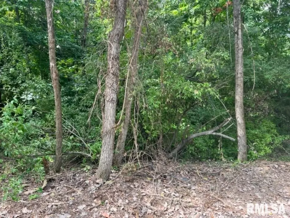  0000 E Lake Estates Rd, Mount Vernon, IL 62864 photo 13