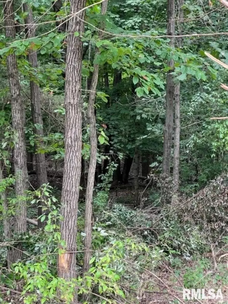  0000 E Lake Estates Rd, Mount Vernon, IL 62864 photo 21