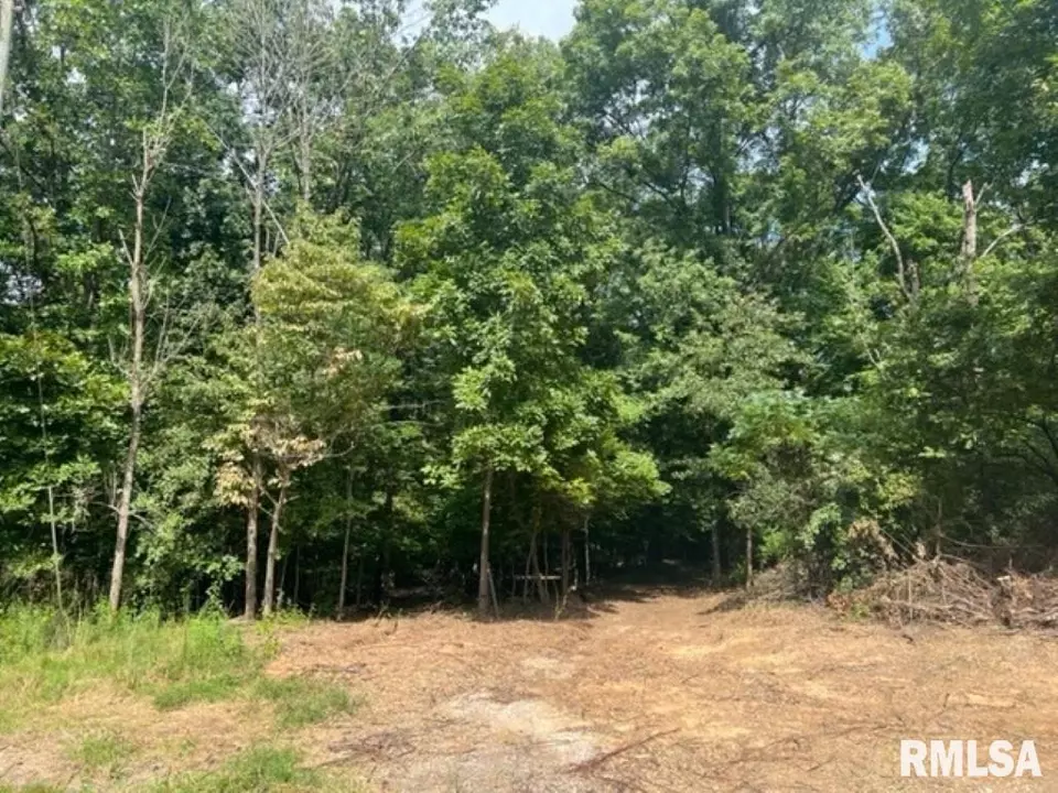  0000 E Lake Estates Rd, Mount Vernon, IL 62864 photo 9