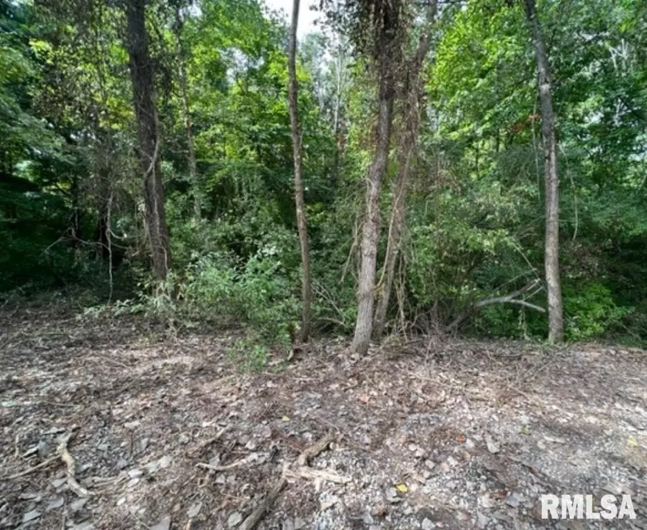  0000 E Lake Estates Rd, Mount Vernon, IL 62864 photo 14