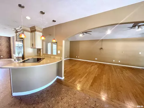35 Douglas Dr, Herrin, IL 62948 photo 22