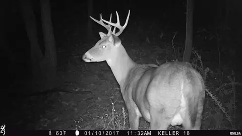 Pleasant Ridge Road, Rockwood, IL 62280