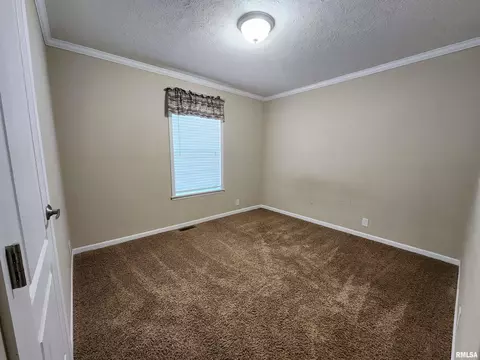 2413 E Old Union Rd, Mount Vernon, IL 62864 photo 25