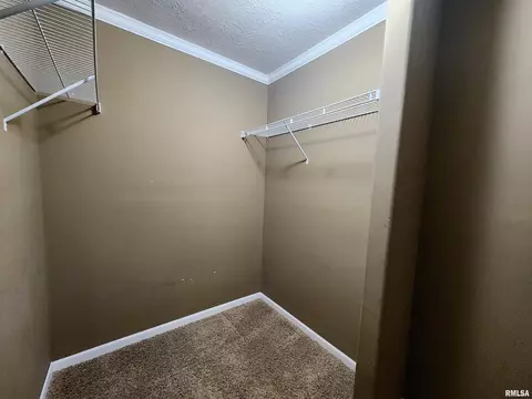 2413 E Old Union Rd, Mount Vernon, IL 62864 photo 23