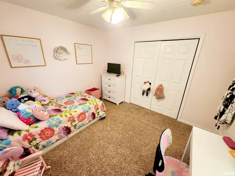 317 E Beacon Ct, Mount Vernon, IL 62864 photo 23