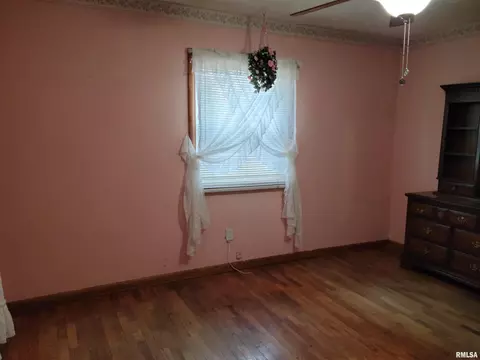 223 N George St, Hurst, IL 62949 photo 17