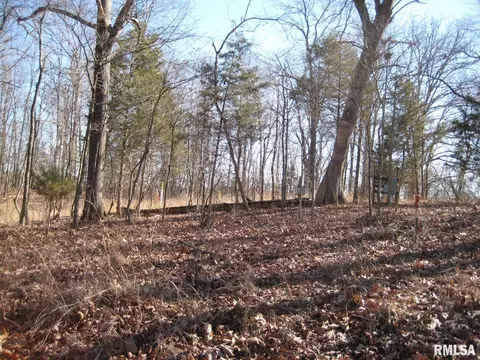 625 Thompson Drive, Goreville, IL 62939