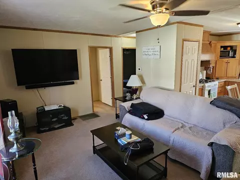 609 E 6th St, Metropolis, IL 62960 photo 11