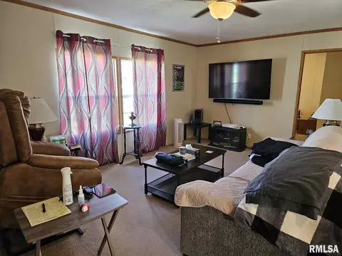 609 E 6th St, Metropolis, IL 62960 photo 28
