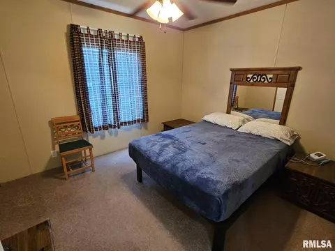 609 E 6th St, Metropolis, IL 62960 photo 19