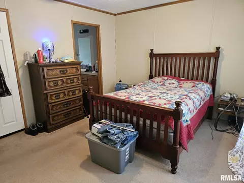 609 E 6th St, Metropolis, IL 62960 photo 16