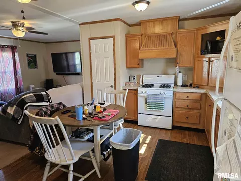 609 E 6th St, Metropolis, IL 62960 photo 13