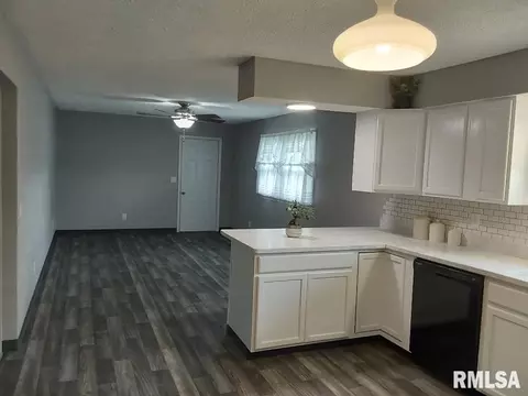 628 Sara Dr, Centralia, IL 62801 photo 9