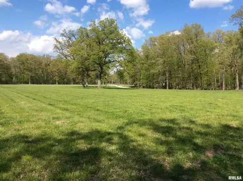 Lots 47 & 48 Dogwood Place, Dix, IL 62830 photo 3