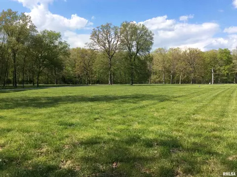Lots 47 & 48 Dogwood Place, Dix, IL 62830 photo 2