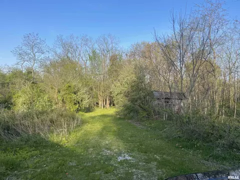 Walnut Hill 000 E Road, Texico, IL 62889 photo 3