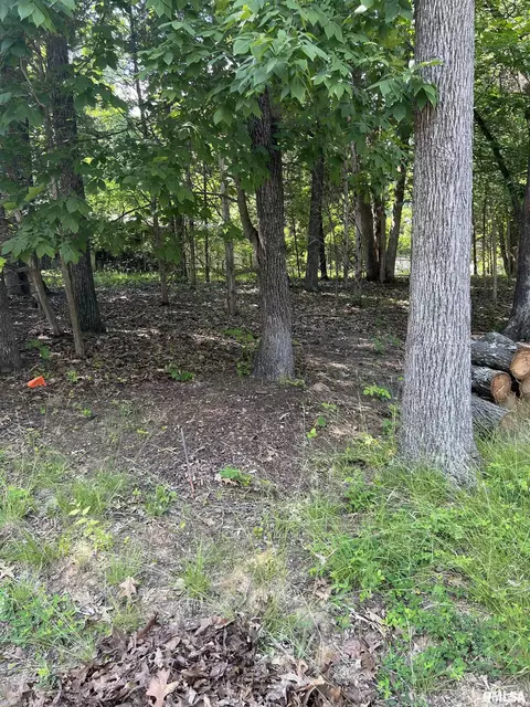 Lot 285 Cardinal Lane, Goreville, IL 62939