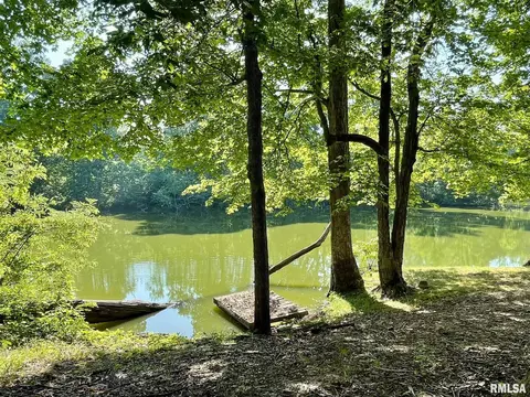 3260 Turtle Point Ln, Metropolis, IL 62960 photo 27