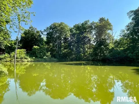 3260 Turtle Point Ln, Metropolis, IL 62960 photo 33