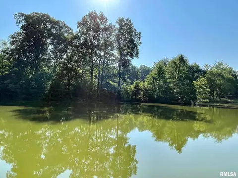 3260 Turtle Point Ln, Metropolis, IL 62960 photo 30