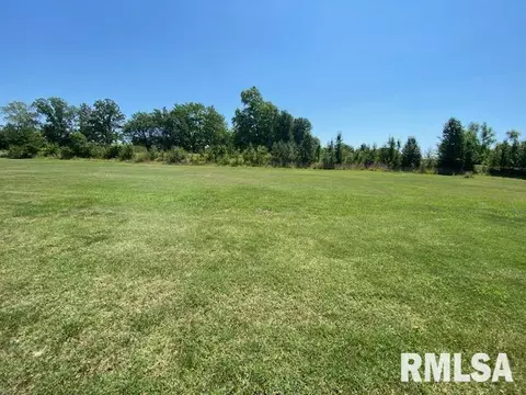 Lot 2 S Greenbriar Road, Carterville, IL 62918