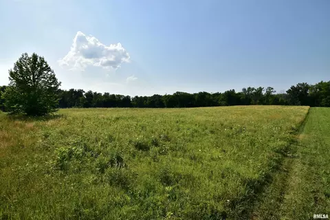 Tbd Newport Road, West Frankfort, IL 62896