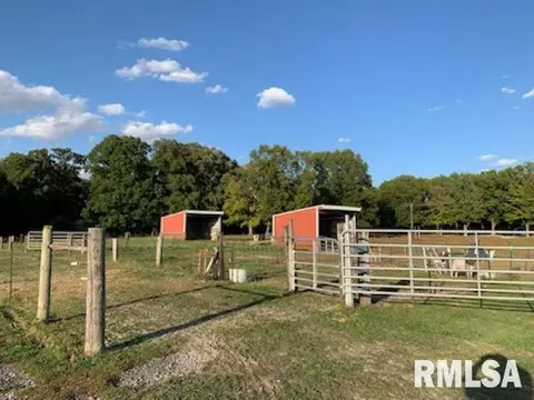 15996 E Austin Rd, Mount Vernon, IL 62864 photo 31