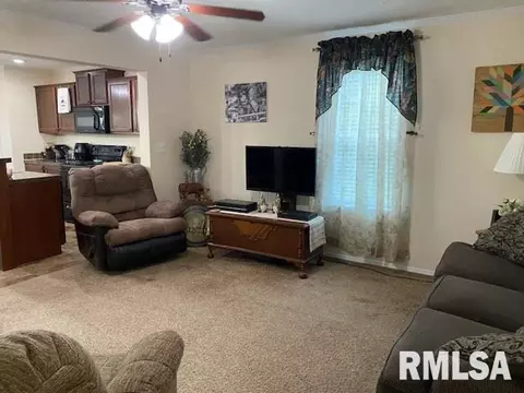 15996 E Austin Rd, Mount Vernon, IL 62864 photo 14