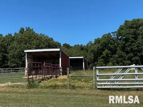 15996 E Austin Rd, Mount Vernon, IL 62864 photo 30