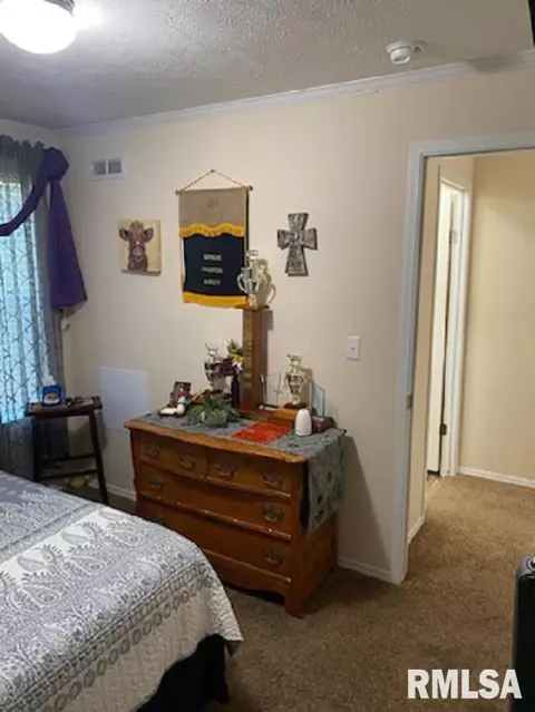 15996 E Austin Rd, Mount Vernon, IL 62864 photo 21