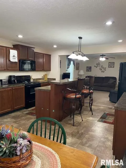 15996 E Austin Rd, Mount Vernon, IL 62864 photo 11