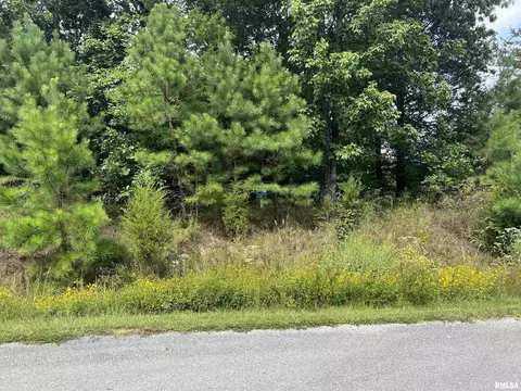 306 Pecan Point Lane, Goreville, IL 62939